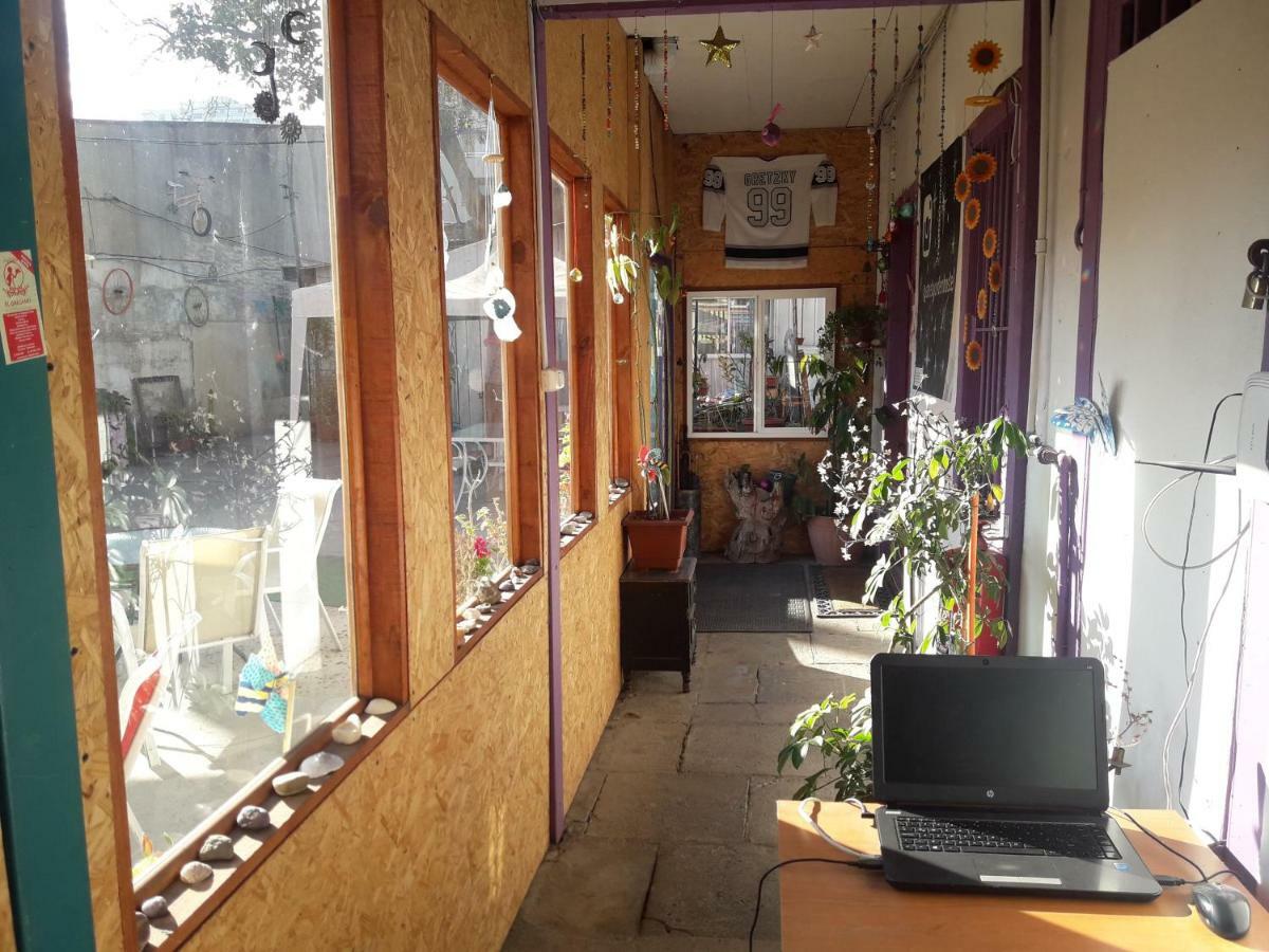 Street Garden Hostel Vina del Mar Exterior foto